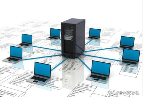 計算機網絡技術專業 聚焦軟硬件開發，解鎖熱門就業方向與廣闊前景